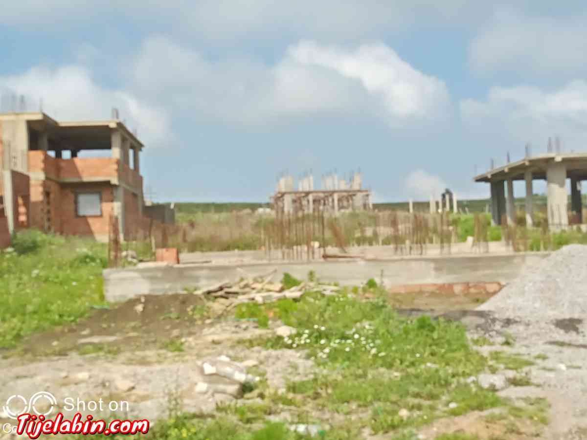 carcasse - Bab Azzouar, Alger - Tijelabin