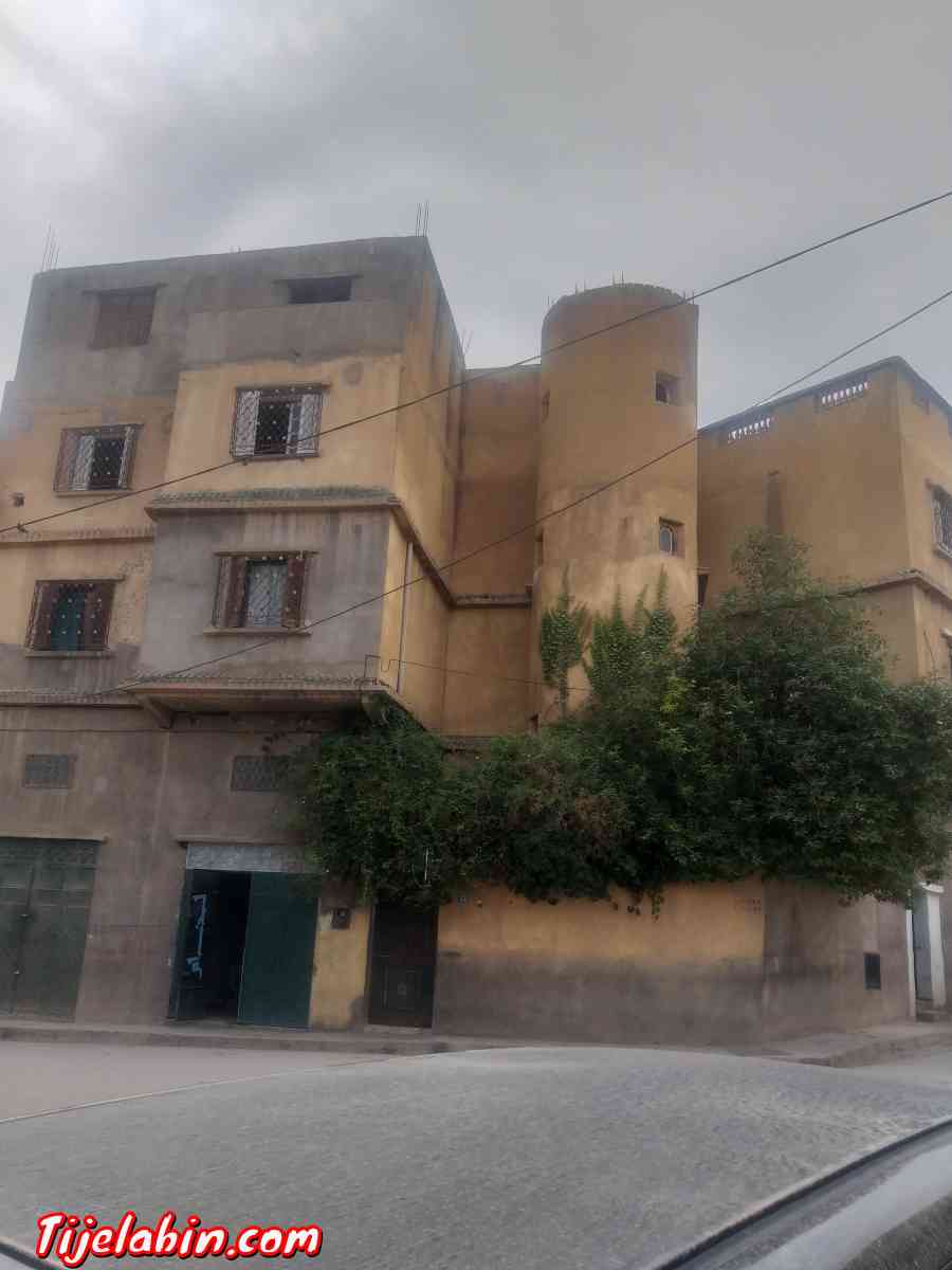 immeuble 2 appartement terrasse 3 locaux garage et  jardin