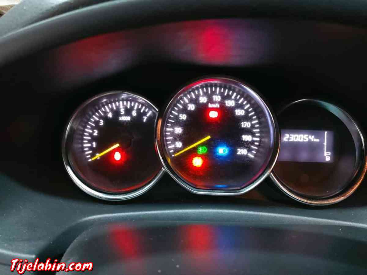 sanbol 1.2 la Tout. Romania - Les Eucalyptus, Alger - Tijelabin