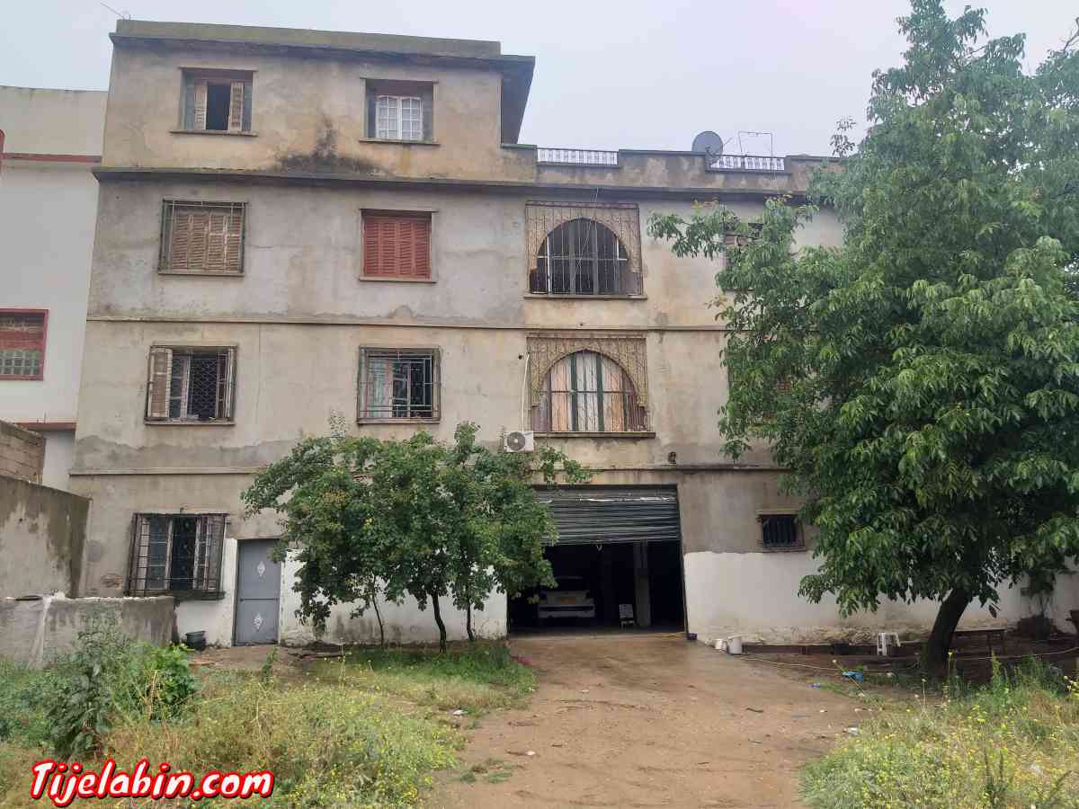 immeuble bien situé Cartier résidentiel bon coin  700 metres - Tlemcen, Tlemcen - Tijelabin