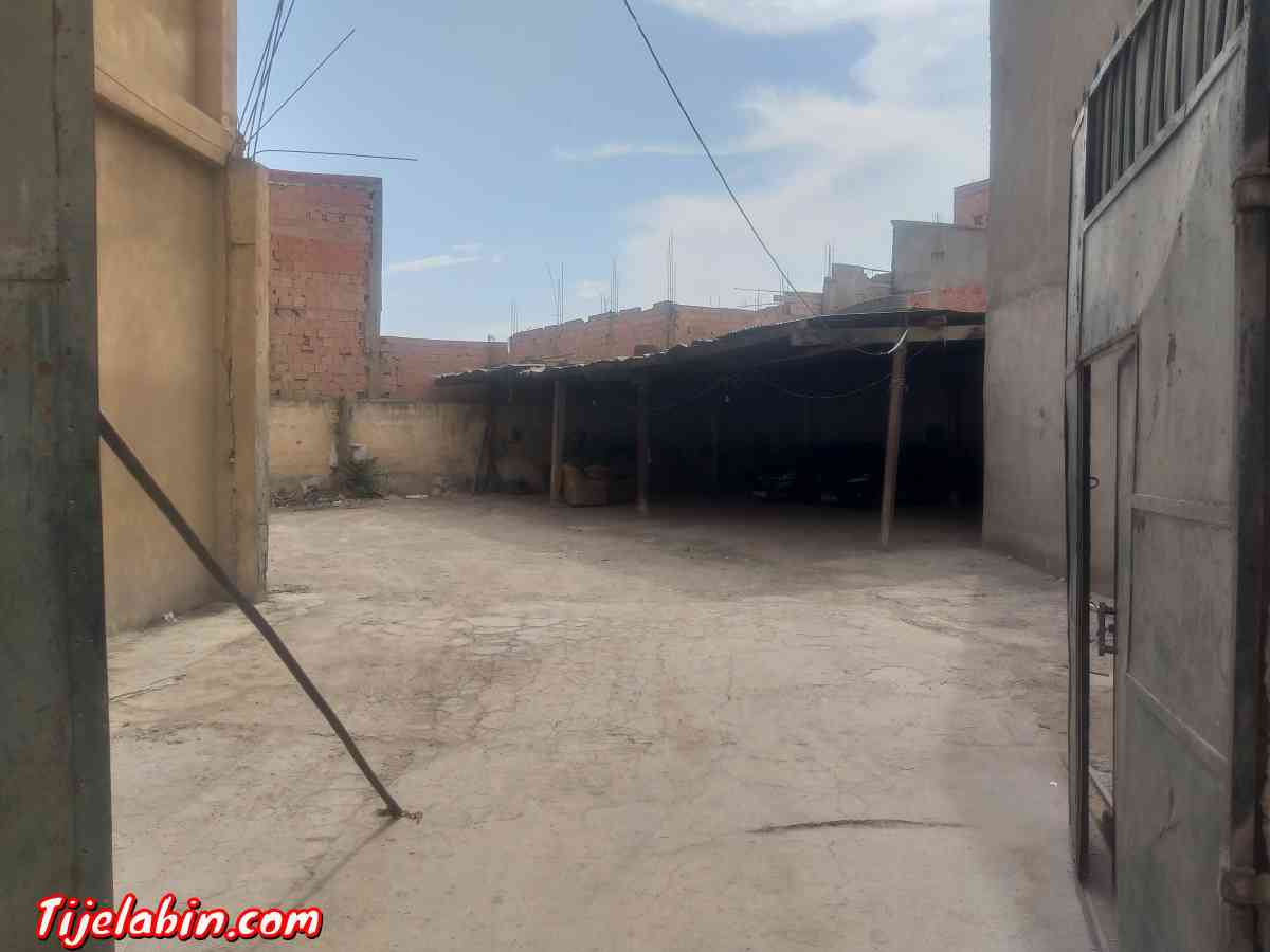 immeuble 2 appartement terrasse 3 locaux garage et  jardin - Sidi Bel Abbes, Sidi Bel Abbes - Tijelabin