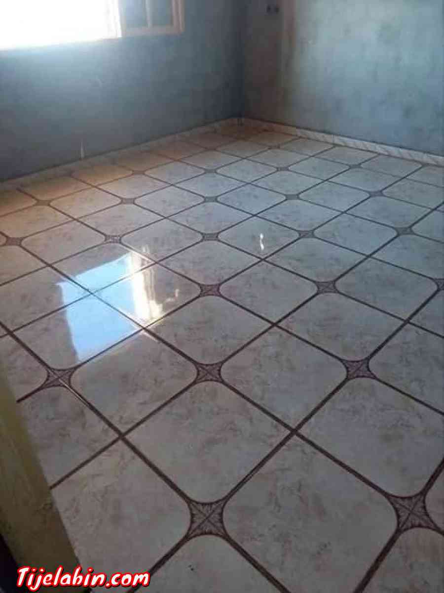 CARLEUR,TRAVAUX DE FINITION,PLAFOND PLASTIQUE ET PEINTURE - Medea, Medea - Tijelabin