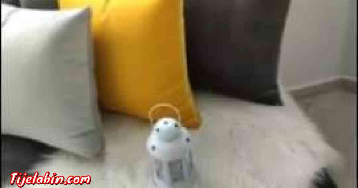 salon sur mesure - Mahelma, Alger - Tijelabin