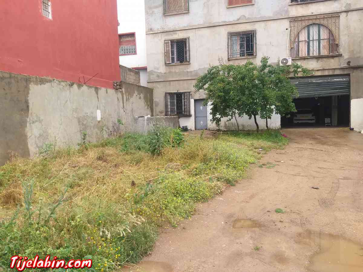 immeuble bien situé Cartier résidentiel bon coin  700 metres - Tlemcen, Tlemcen - Tijelabin