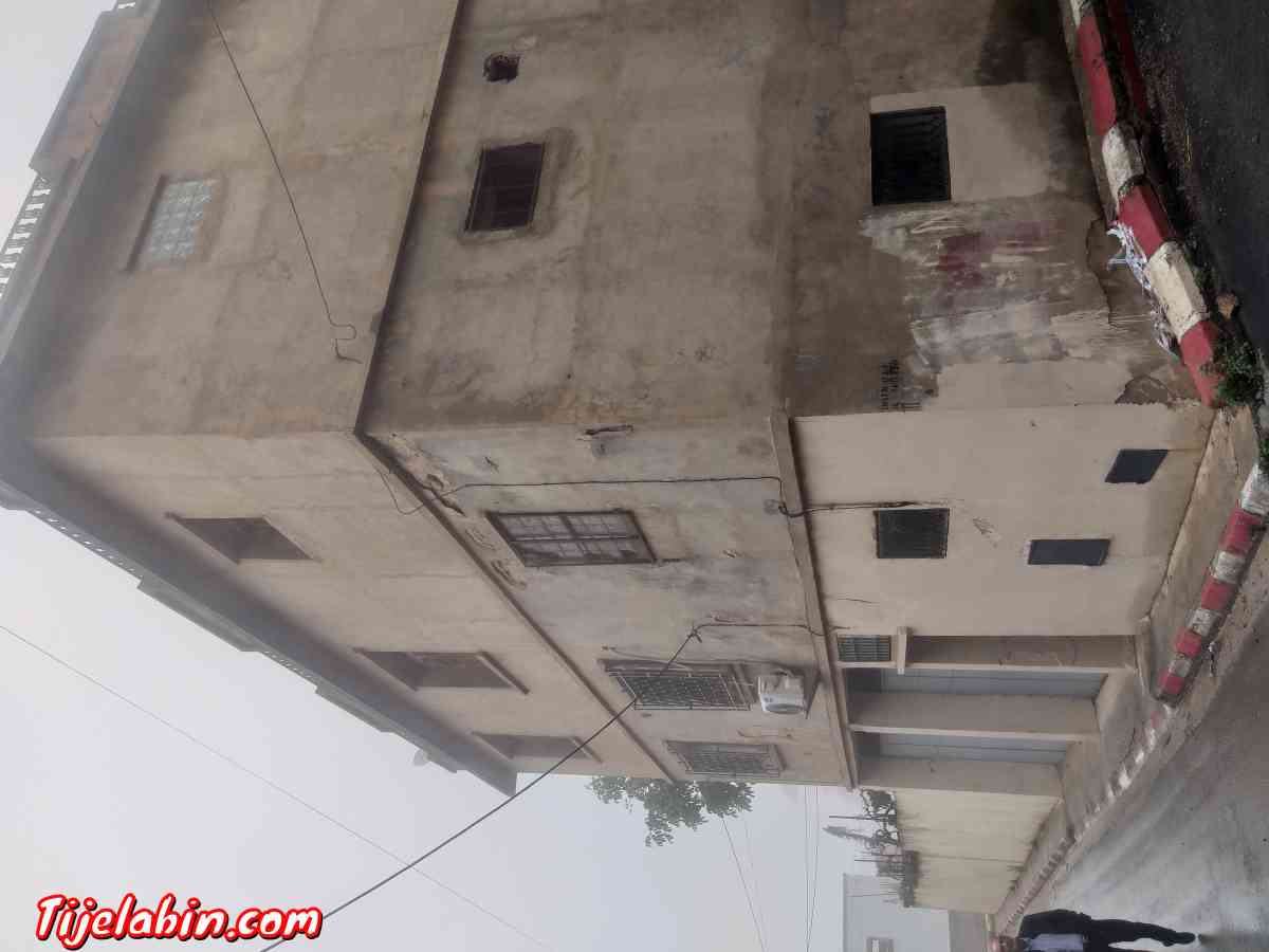 immeuble bien situé Cartier résidentiel bon coin  700 metres - Tlemcen, Tlemcen - Tijelabin