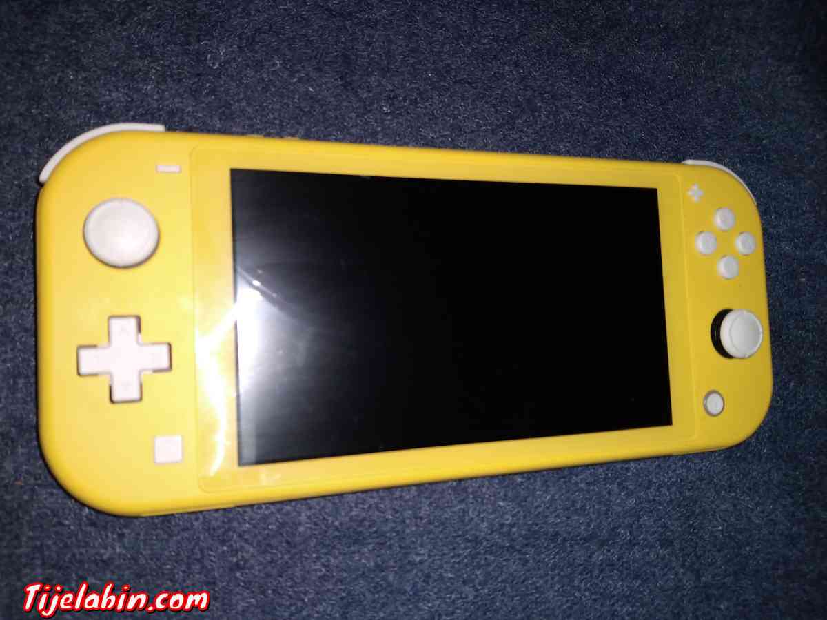 switch lite