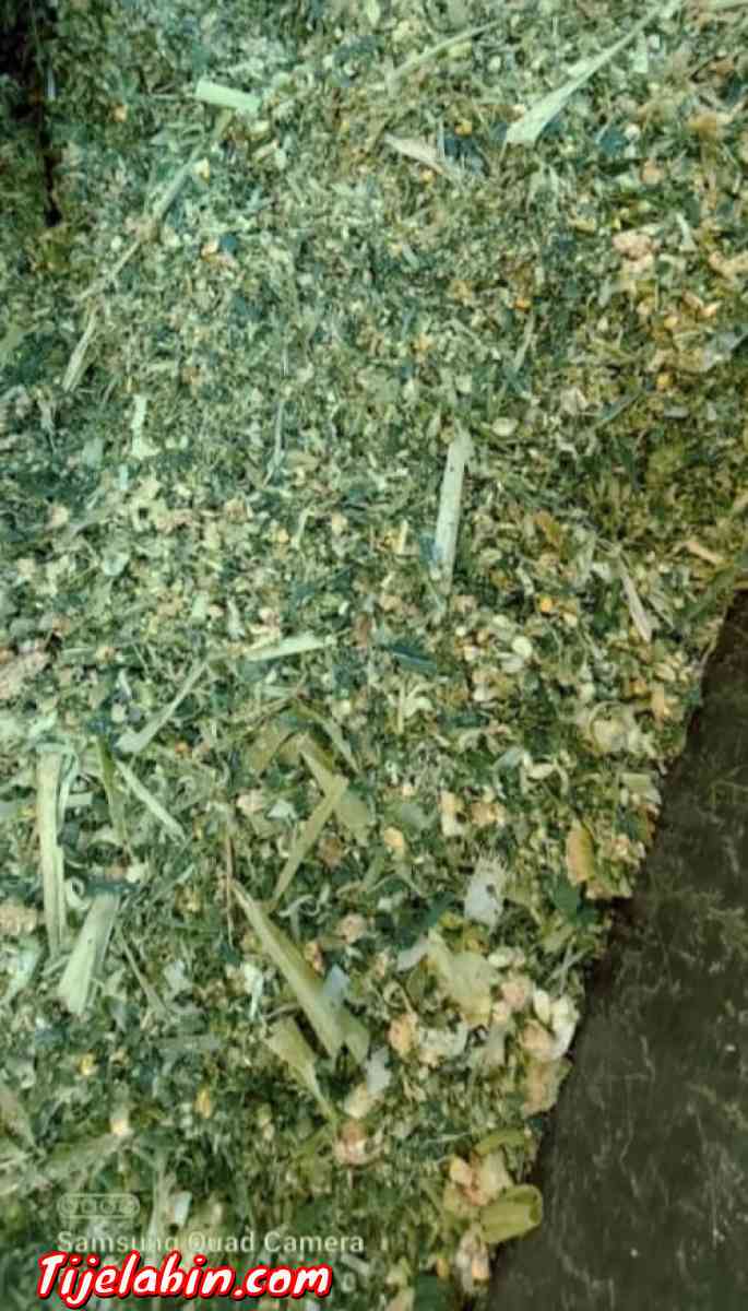 اعلاف الذرة (اونسيلاج)