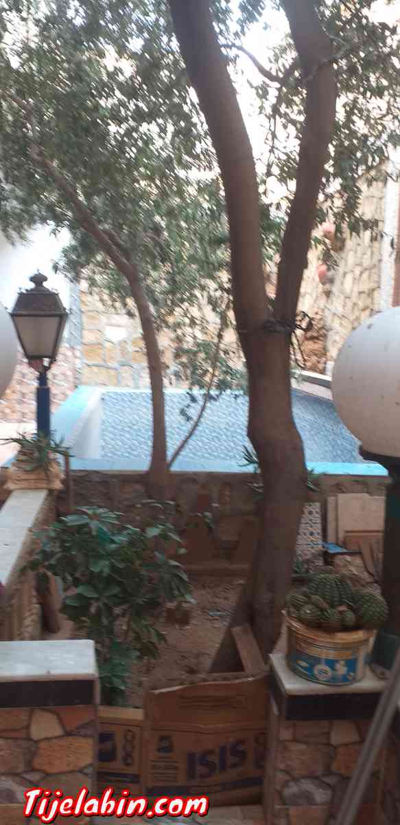 villa R+1 fini 100% exterieur et interieur .....cittes tret - Bou Saada, M'Sila - Tijelabin