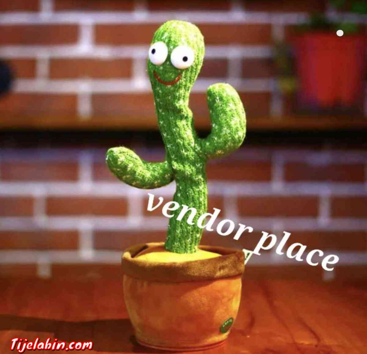 لعبة الصبار المتكلمة والراقصة - Alger Centre, Alger - Tijelabin