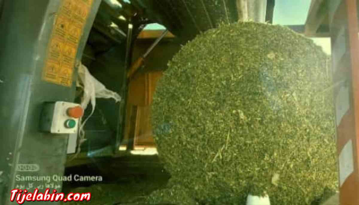 اعلاف الذرة (اونسيلاج) - Adrar, Adrar - Tijelabin