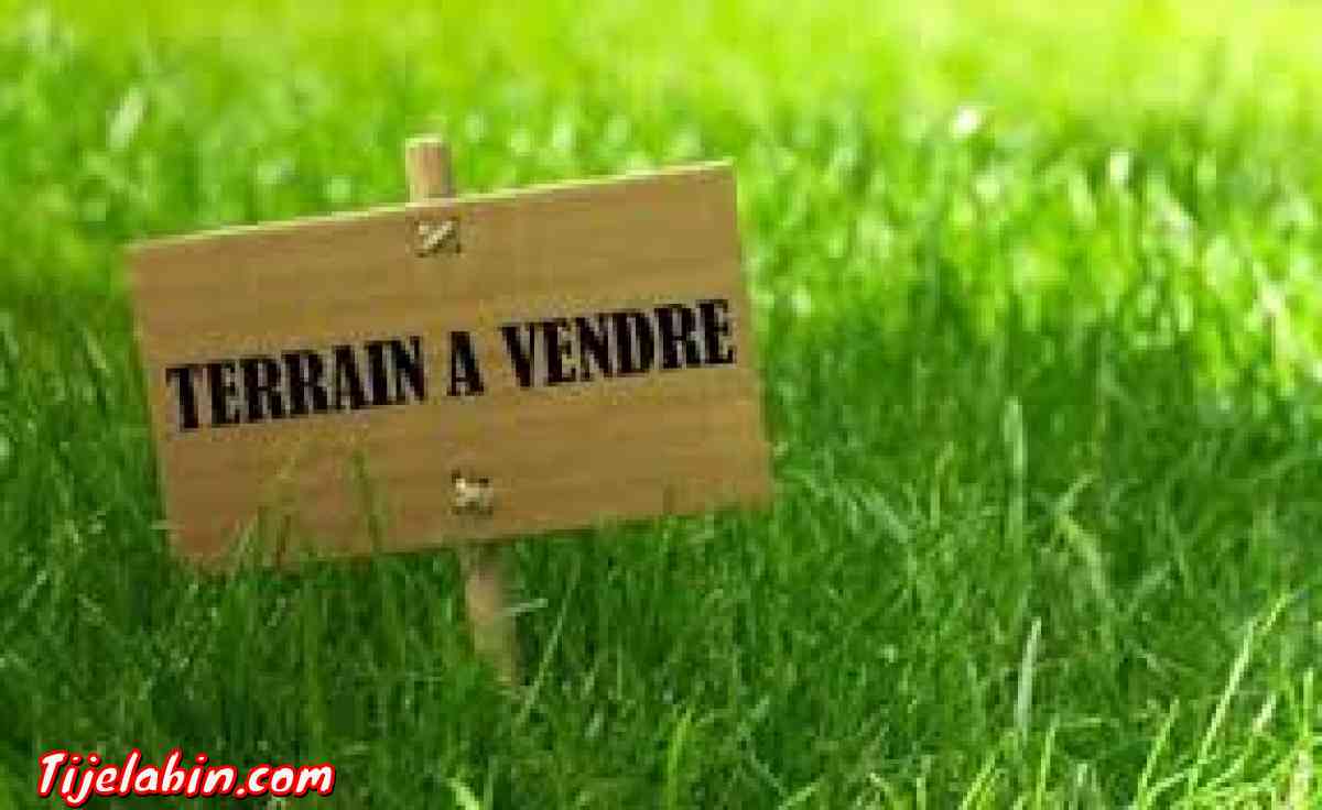 2000m à vendre - Ain Benian, Alger