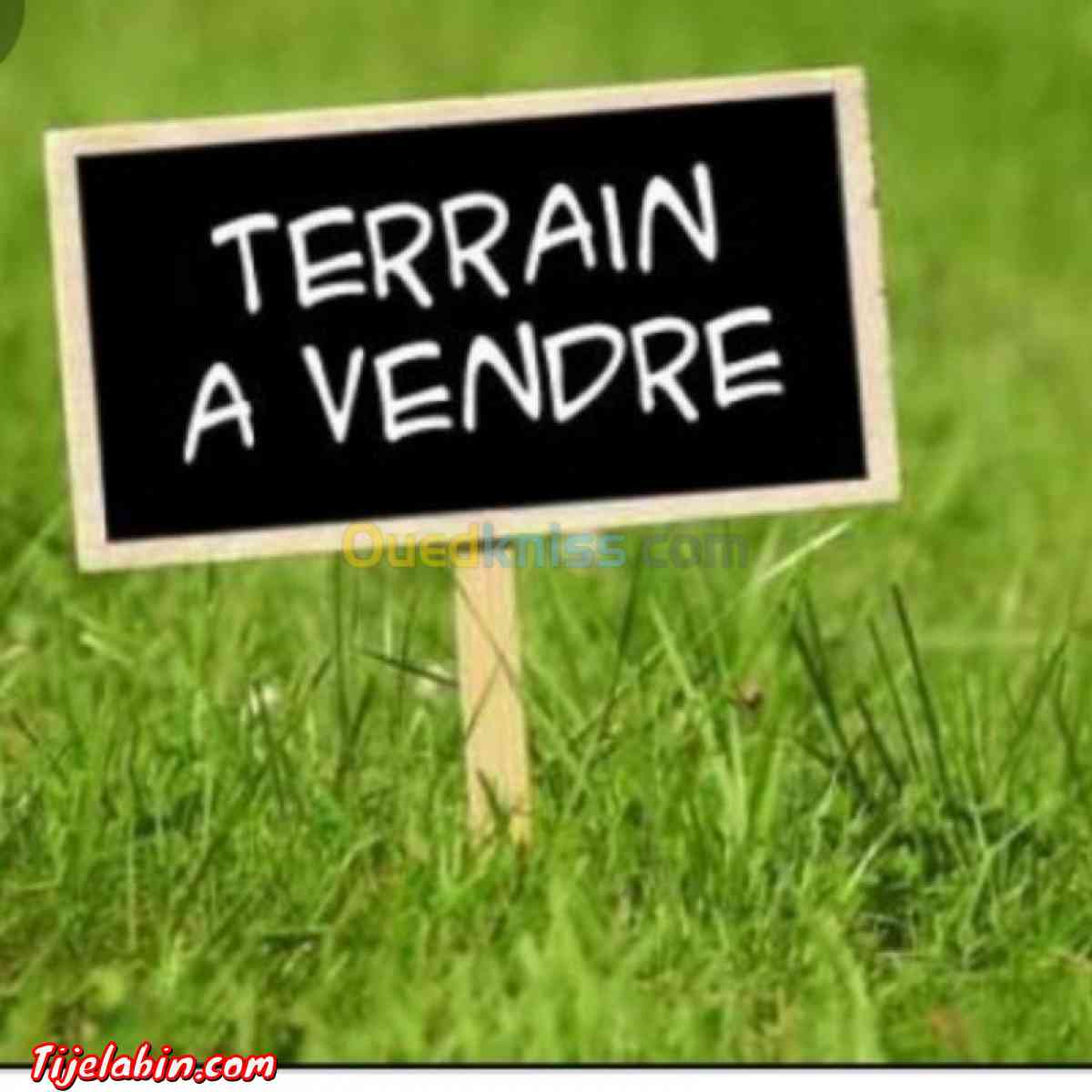 قطعة ارض للبناء - Bougara, Blida - Tijelabin