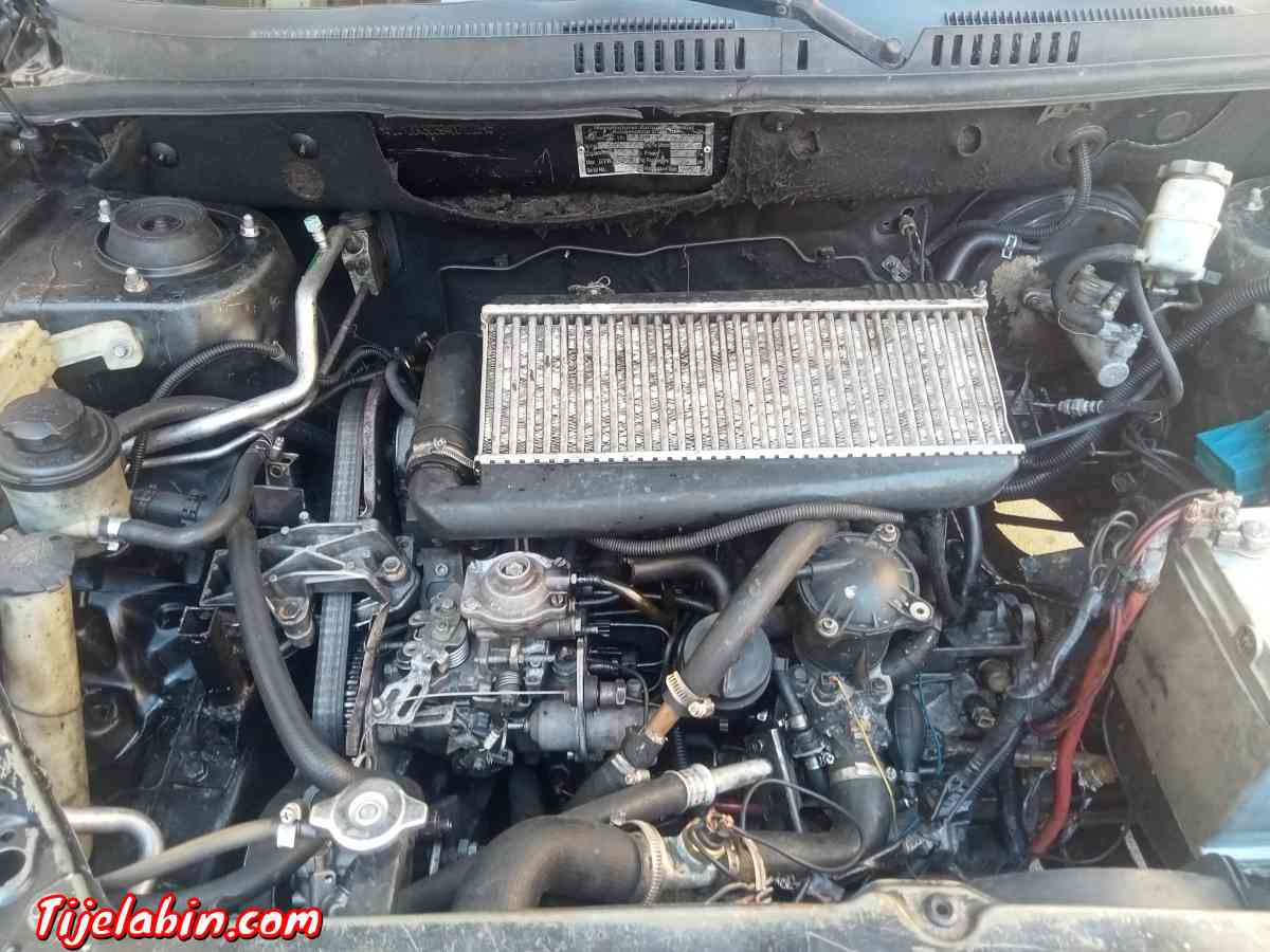 jac rein - Baghai, Khenchela - Tijelabin