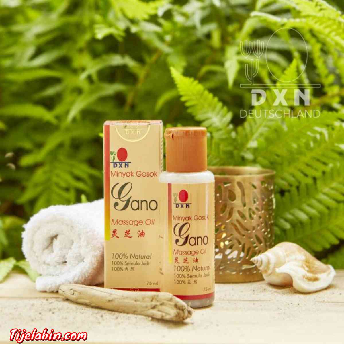 زيت الجانو - Alger Centre, Alger