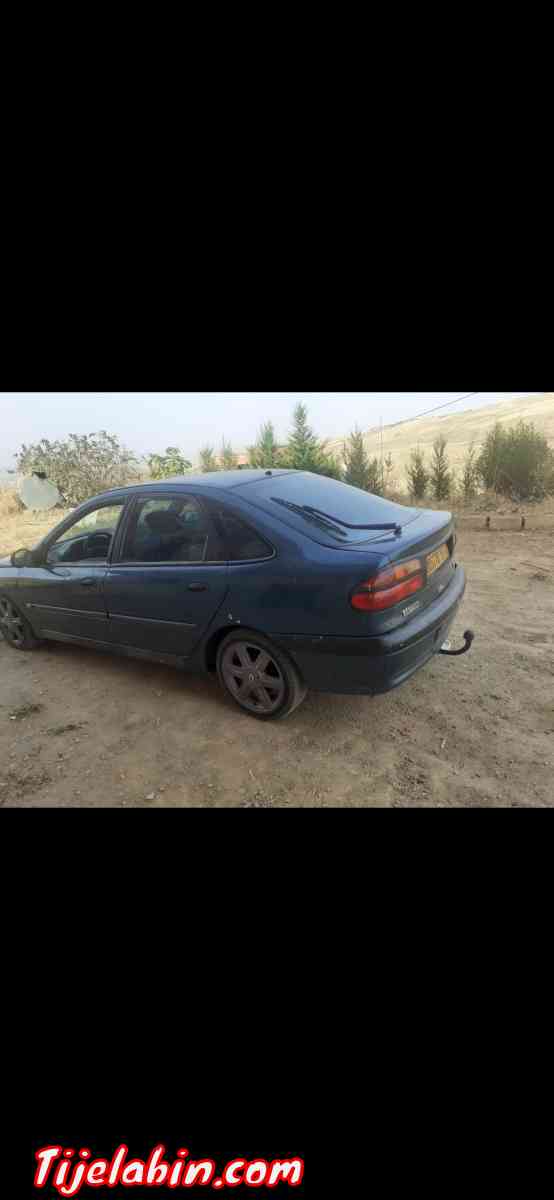 lagona - Ain Merane, Chlef - Tijelabin