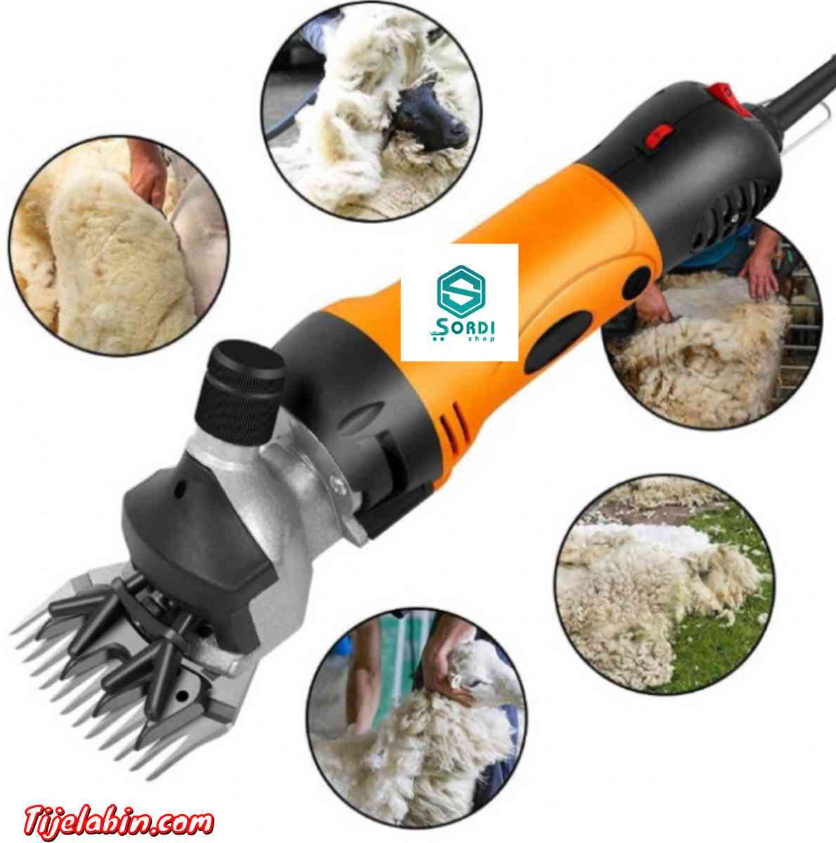 آلة قص الصوف الكهربائية للخراف والأغنام إحترافية - Bab Azzouar, Alger