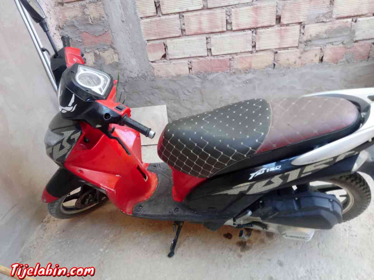 ذراجة نارية - Hassi Gara, Ghardaia - Tijelabin