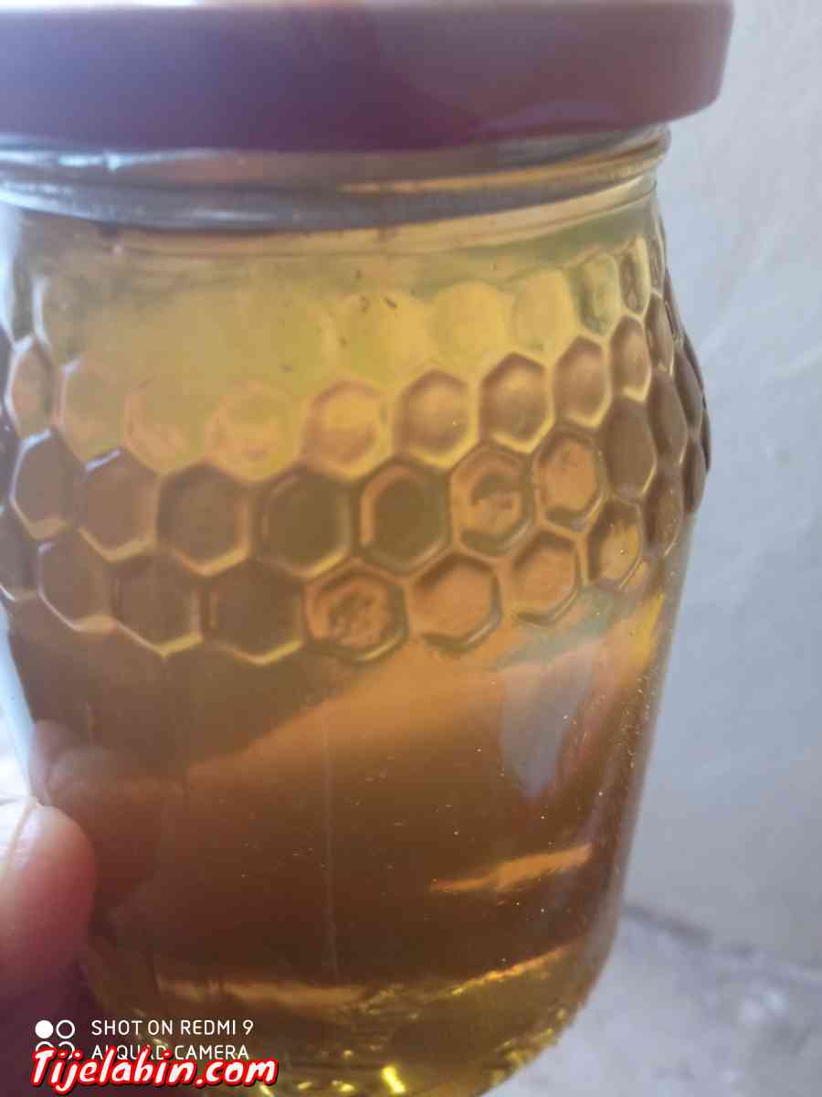 عسل السدرة مضمون - Alger Centre, Alger - Tijelabin