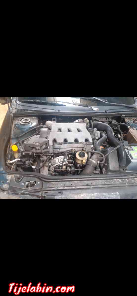 lagona - Ain Merane, Chlef - Tijelabin