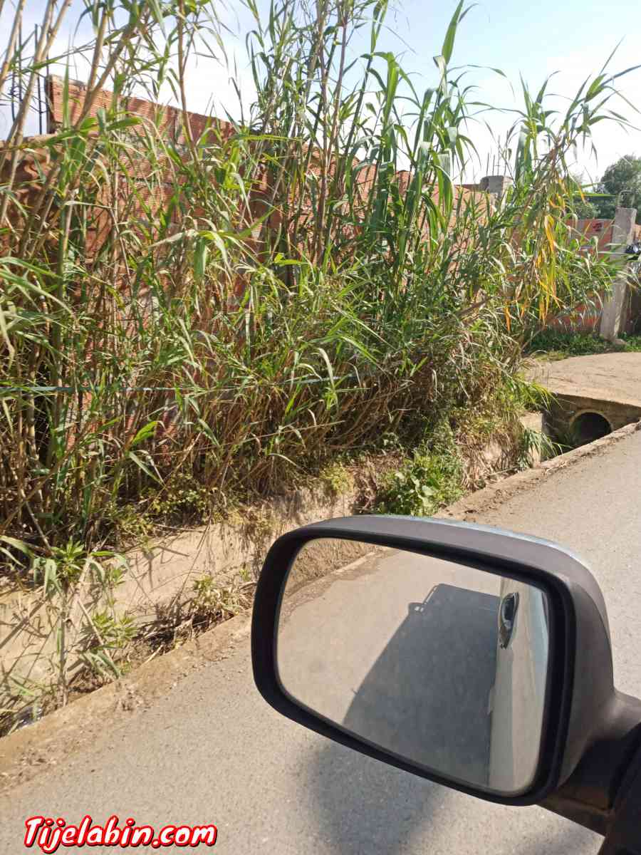 carcasse de villa - Djinet, Boumerdes - Tijelabin