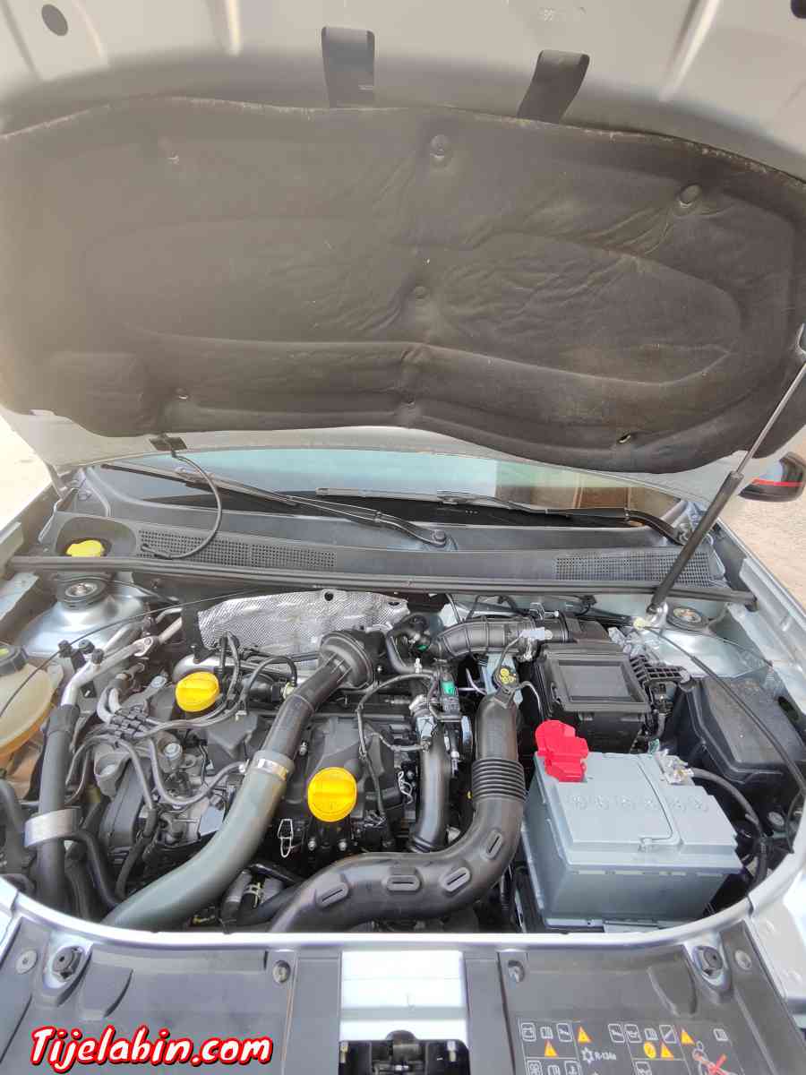 ستيبواي 19 مازوت. - Hamadia, Tiaret - Tijelabin