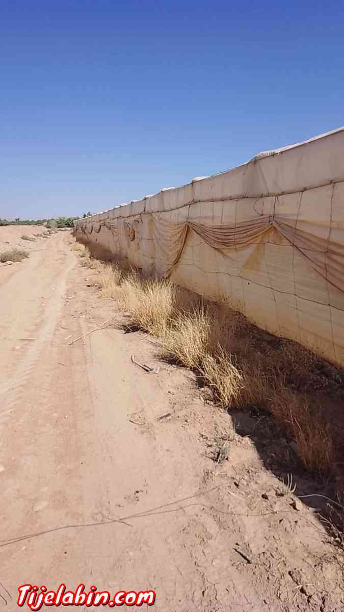 عقار فلاحي - Ain Naga, Biskra - Tijelabin