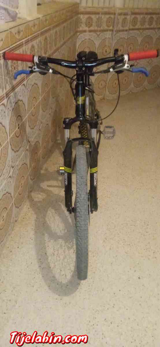 ماركة اوربا - Alger Centre, Alger - Tijelabin