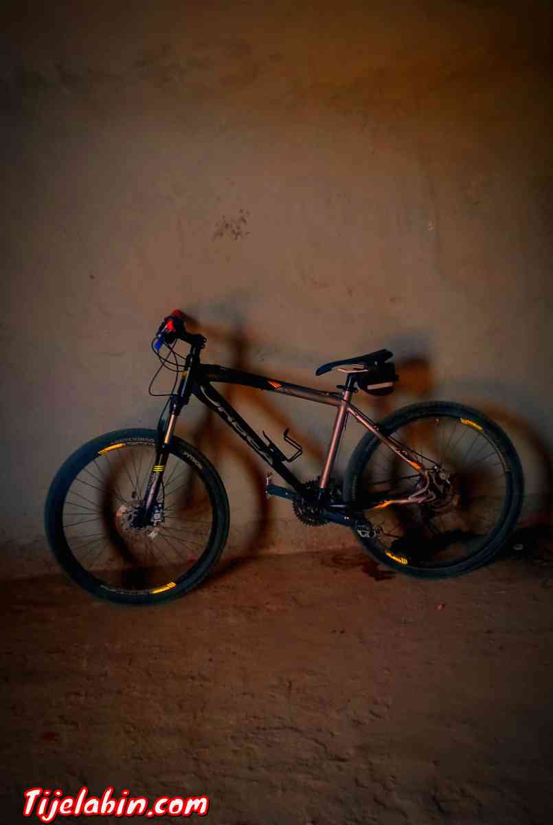 ماركة اوربا - Alger Centre, Alger - Tijelabin