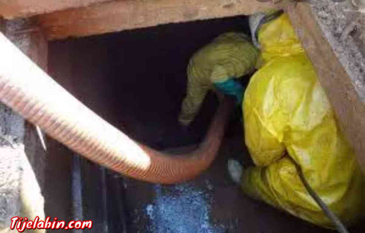 services nettoyage - Dar El Beida, Alger - Tijelabin