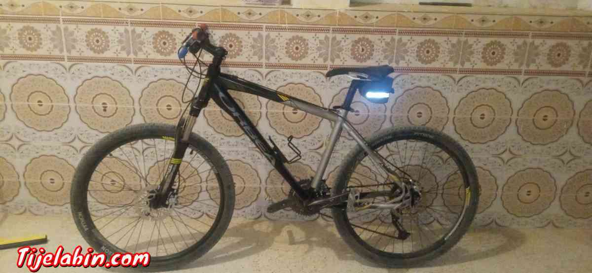 ماركة اوربا - Alger Centre, Alger