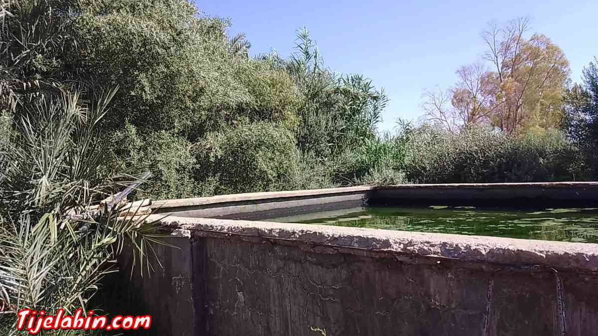 عقار فلاحي - Ain Naga, Biskra - Tijelabin