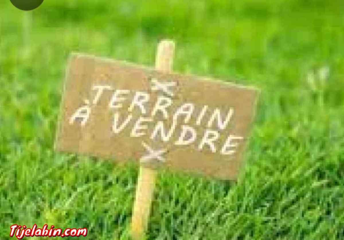 Lot terrait - Sidi Bel Abbes, Sidi Bel Abbes