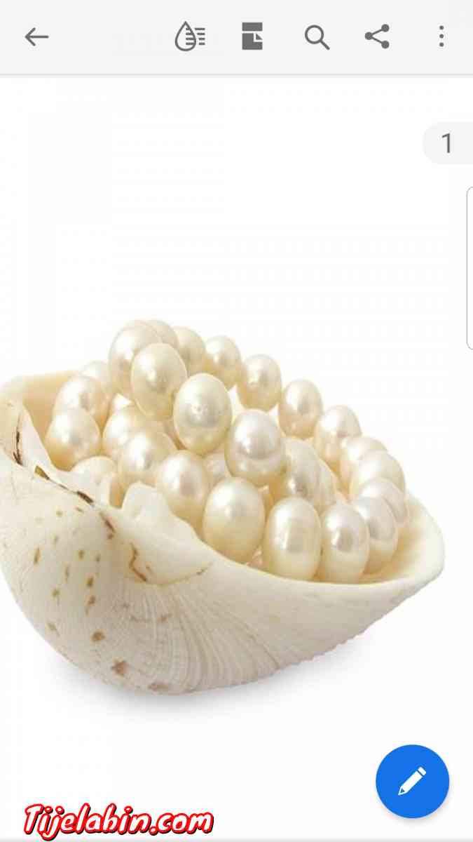 بودرة اللؤلؤ