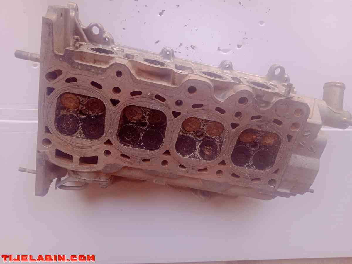 كلاصة تيريوس في حالة جيدة