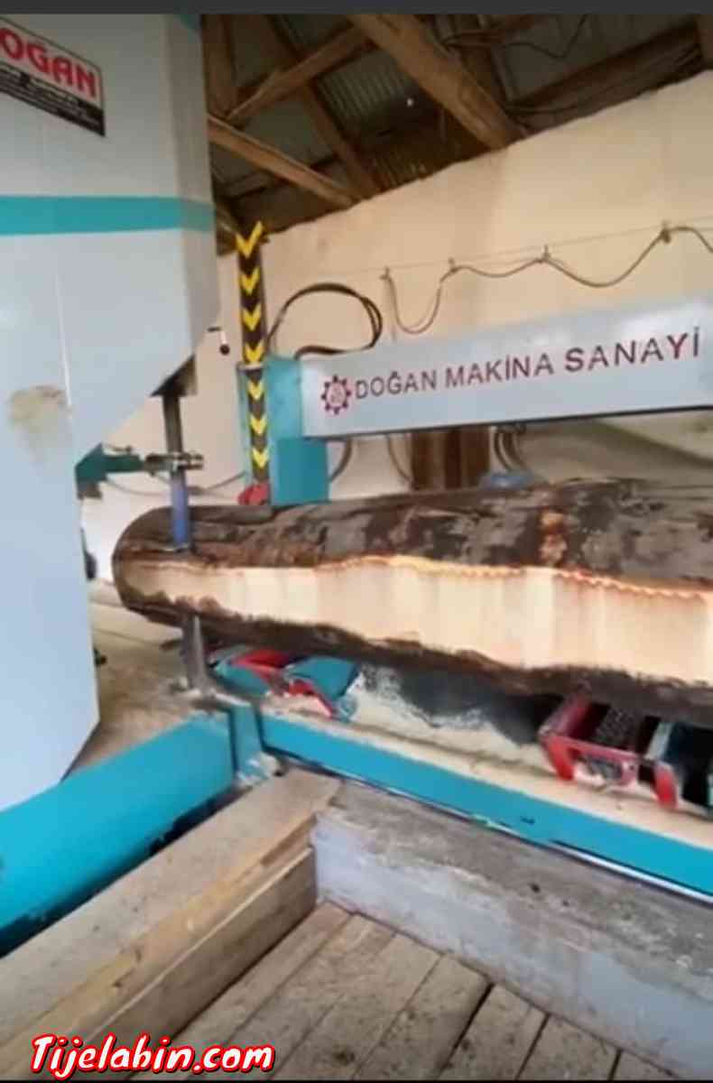 الة لقص الشجر