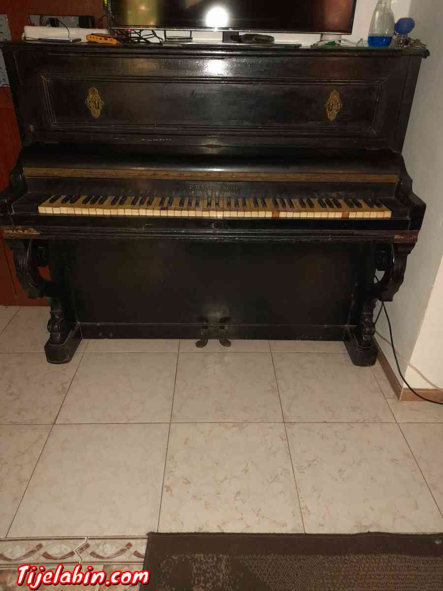 بيانو - Sidi Bel Abbes, Sidi Bel Abbes - Tijelabin