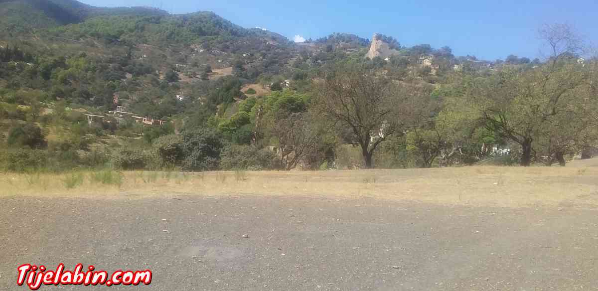 terrain - Larhat, Tipaza - Tijelabin