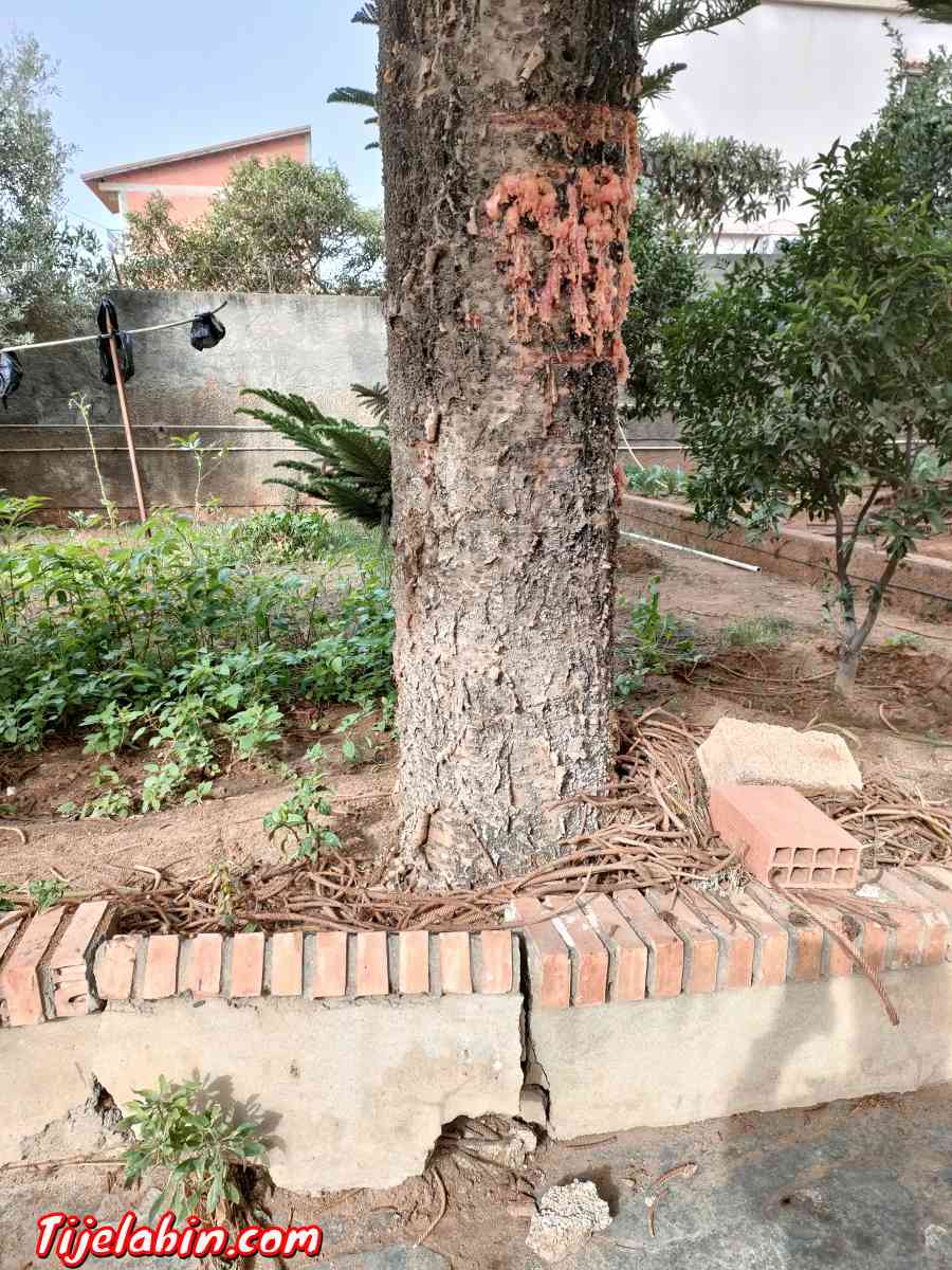 consultant en génie civil - Alger Centre, Alger