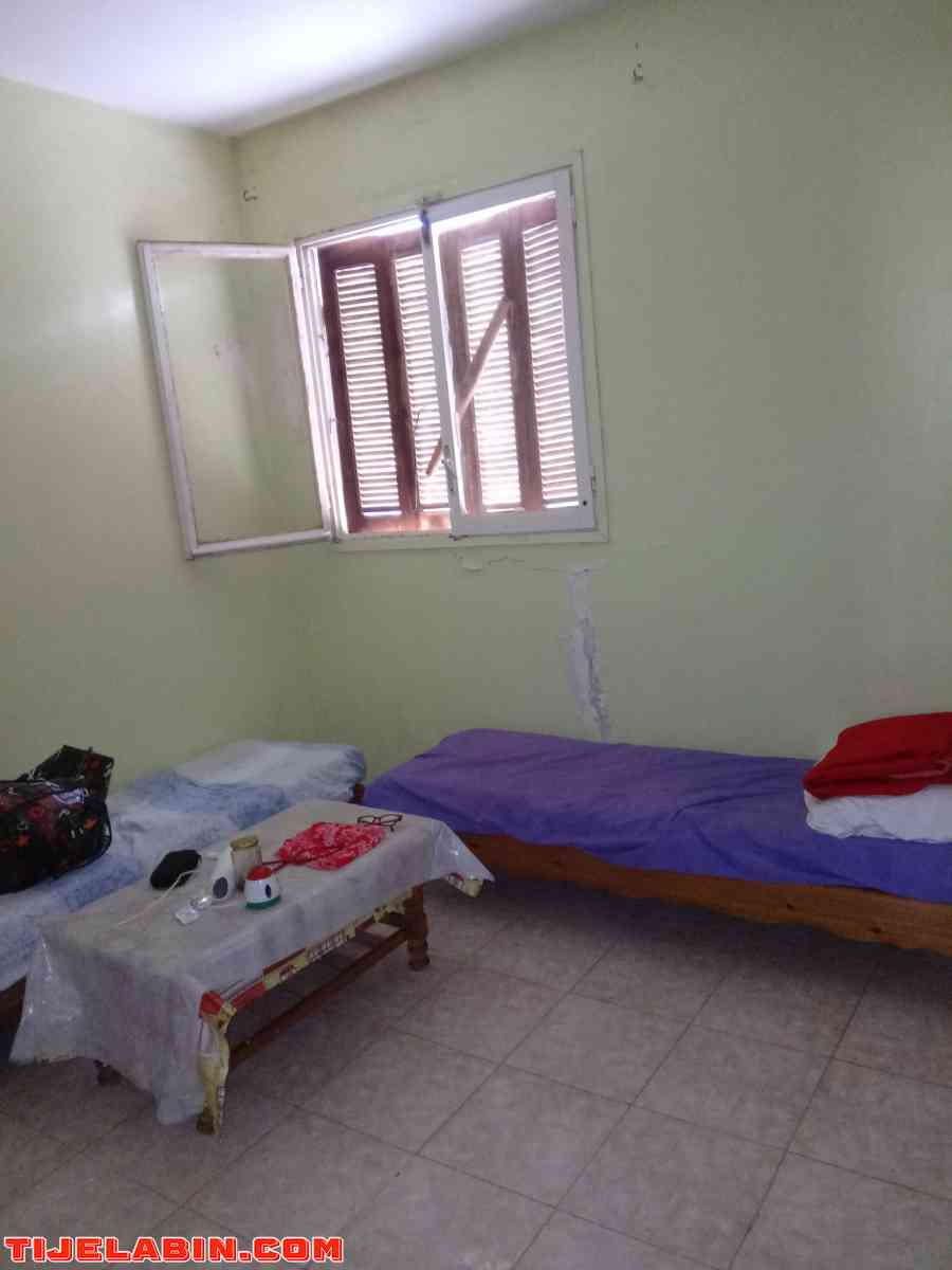 appartement f4 - Mostaganem, Mostaganem - Tijelabin