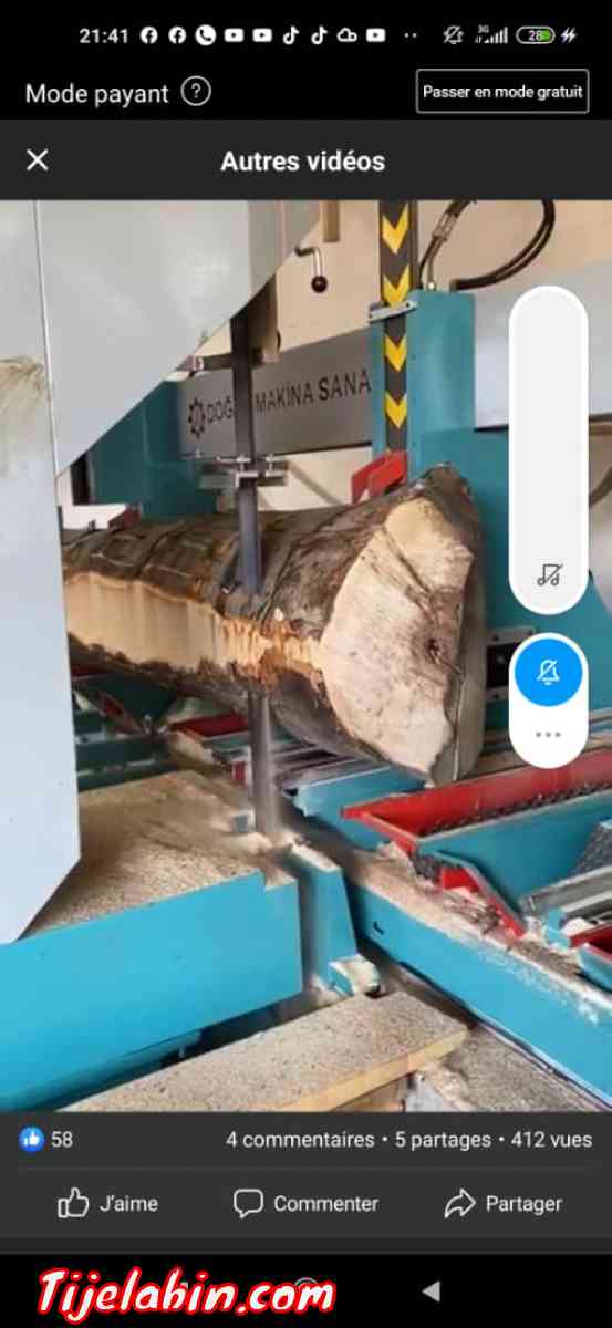 كلارك و مشينة تقص الشجرة - El Eulma, Setif - Tijelabin