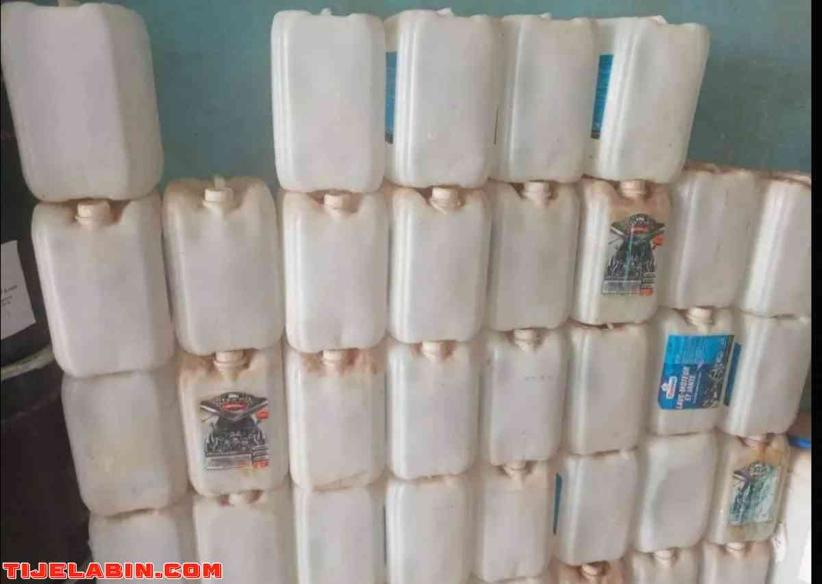 نبيع مجاور براويط شبكة من كل انواعها - Mesra, Mostaganem - Tijelabin