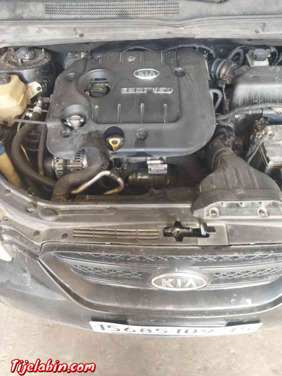 kia carens - Dellys, Boumerdes - Tijelabin