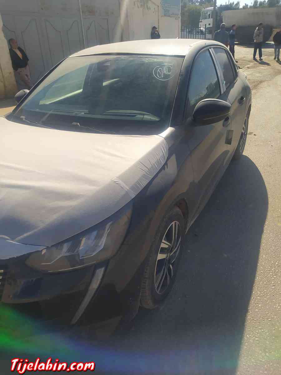 208 2022 00km - Chlef, Chlef - Tijelabin