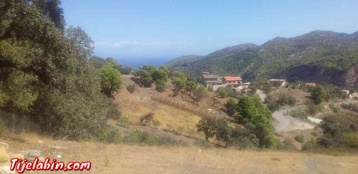 terrain - Larhat, Tipaza - Tijelabin