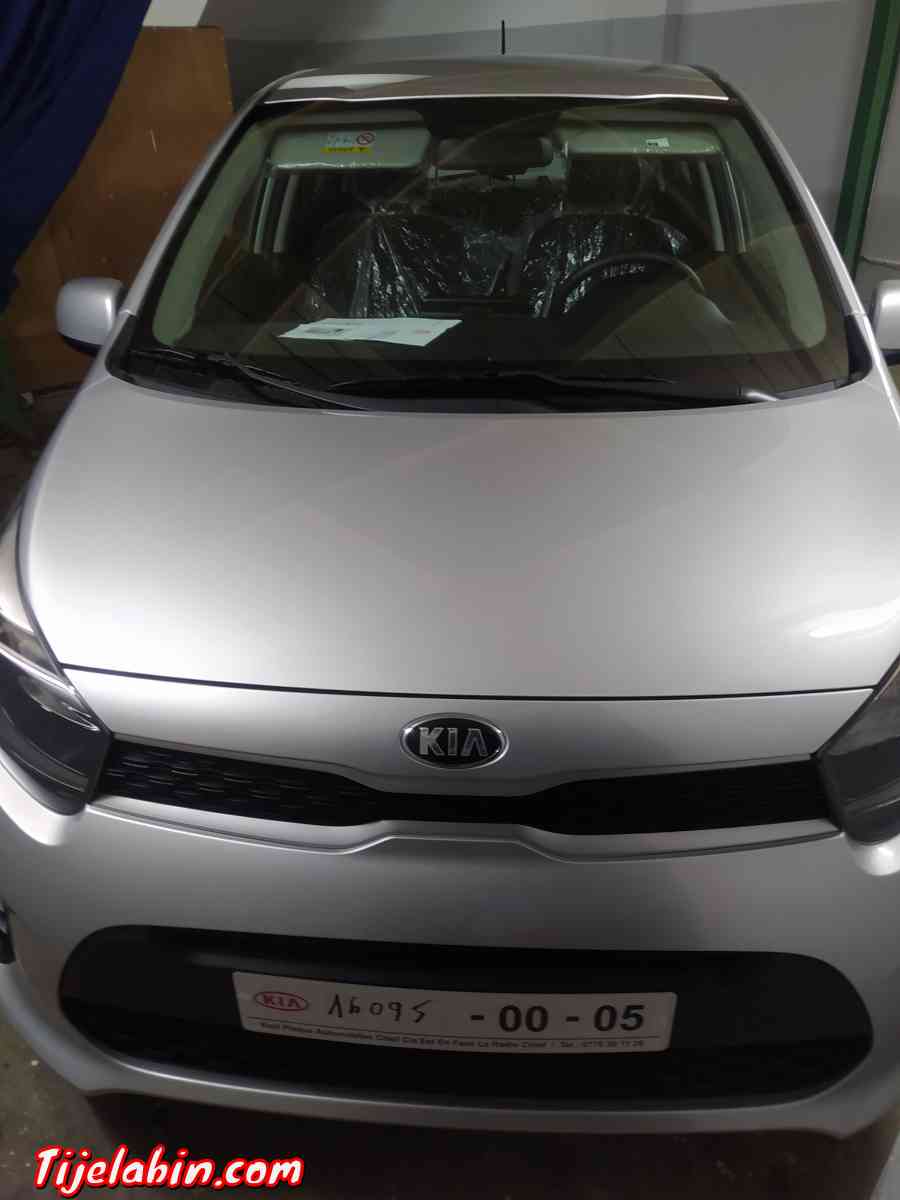Kia Picanto - Chlef, Chlef - Tijelabin