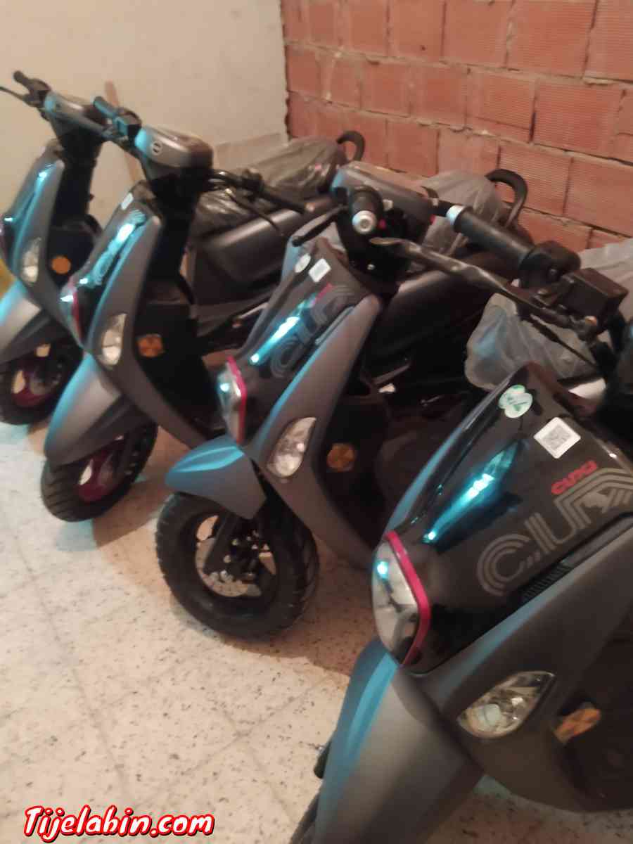 cucxi 2 2023 - Chlef, Chlef - Tijelabin