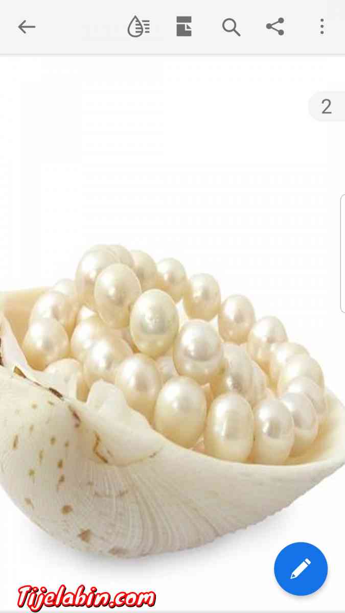 بودرة اللؤلؤ - Alger Centre, Alger - Tijelabin