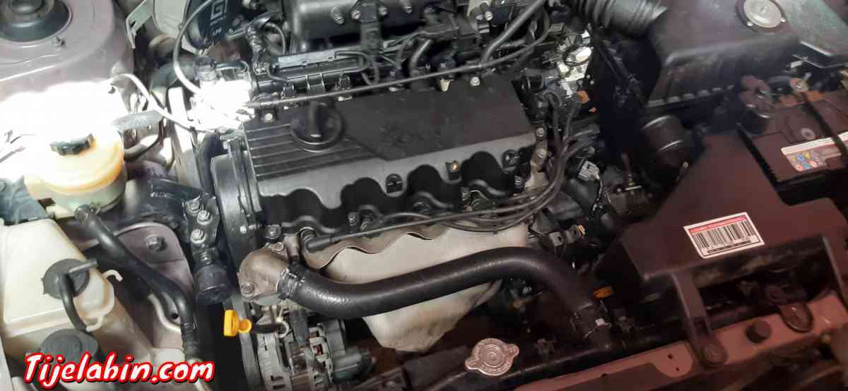 اكسنت - Alger Centre, Alger - Tijelabin