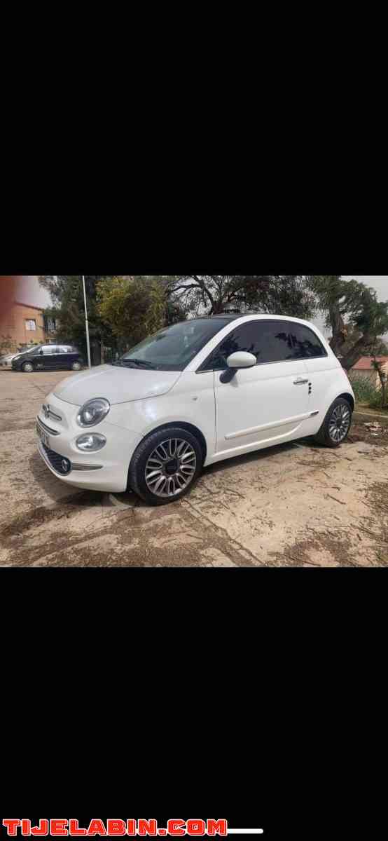 fiat 500 - Cheraga, Alger - Tijelabin