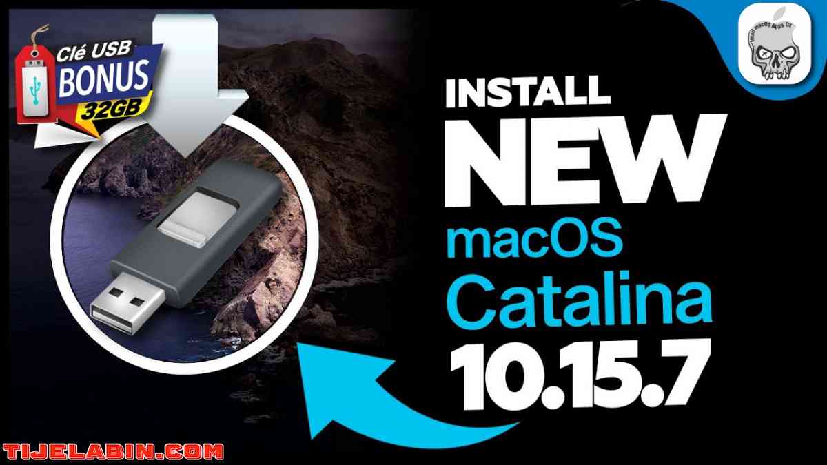 Systéme macOS Catalina Bootable sur clé USB 32GB + 170 Logiciels Professionnel Bonus - Ben Aknoun, Alger - Tijelabin